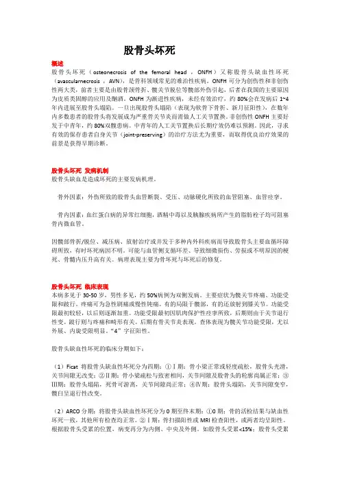 股骨头坏死(教学及宣教)