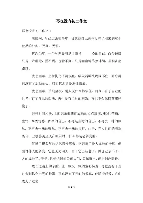 再也没有初二作文