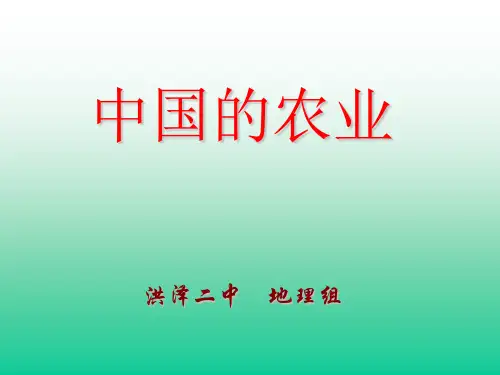 中国的农业-24页PPT精选文档