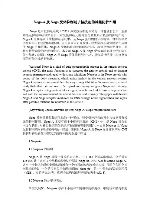 Nogo-A及Nogo受体抑制剂／拮抗剂的神经防护作用
