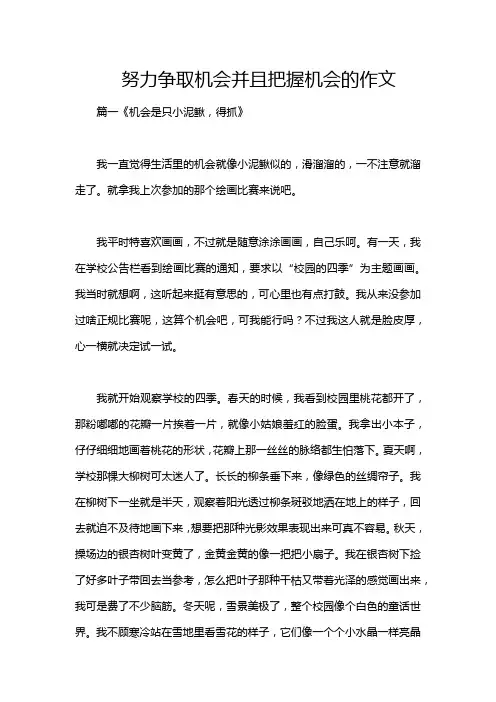 努力争取机会并且把握机会的作文