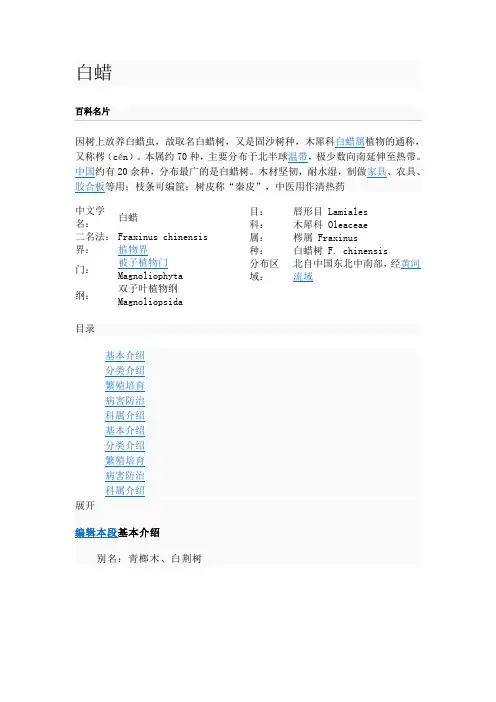 白蜡
