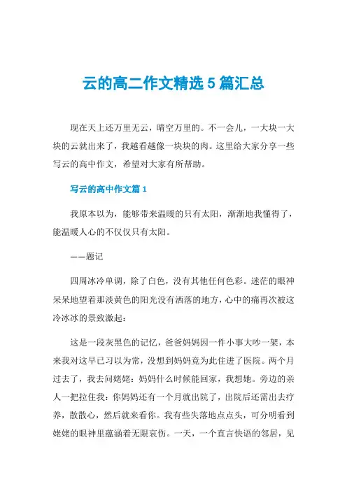 云的高二作文精选5篇汇总