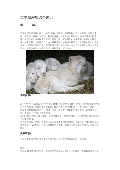 羔羊腹泻病综合防治