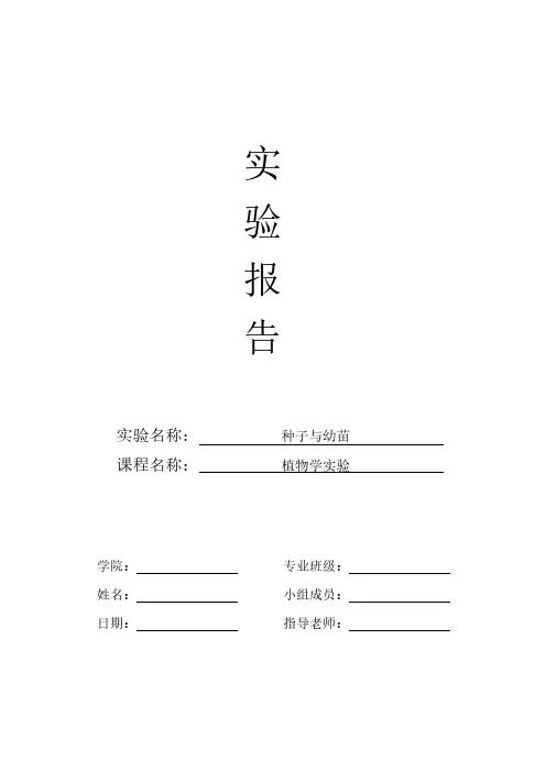 植物学实验报告—种子与幼苗