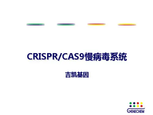 CRISPRCAS9慢病毒系统概述.pdf