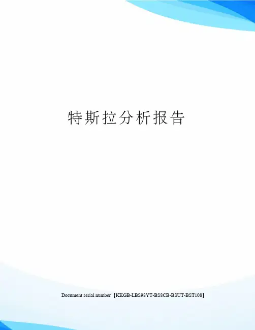 特斯拉分析报告精选版