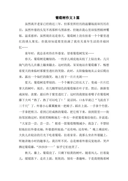 葡萄树作文3篇精选