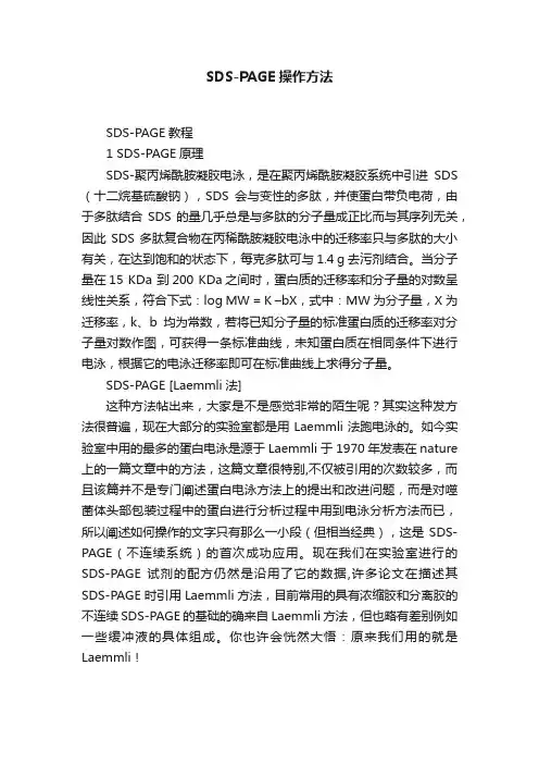 SDS-PAGE操作方法