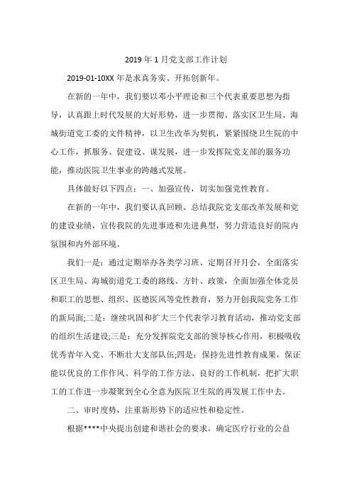 2019年1月党支部工作计划