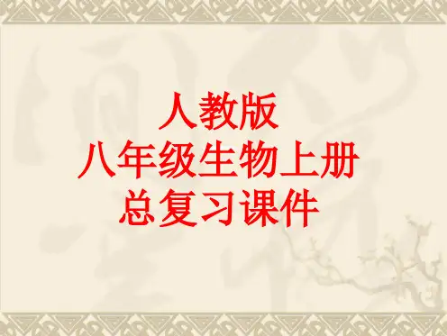 八年级生物上册总复习课件人教版(33张)