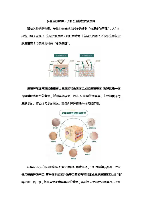 科普皮肤屏障,了解怎么修复皮肤屏障