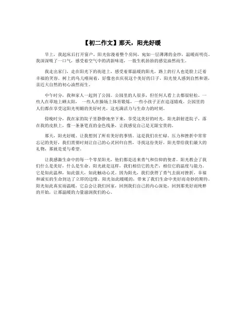 【初二作文】那天,阳光好暖