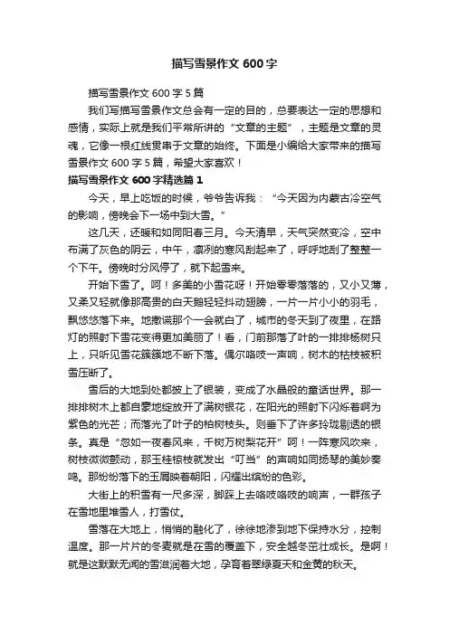 描写雪景作文600字5篇