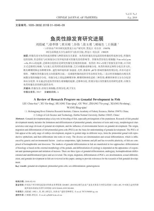 鱼类性腺发育研究进展