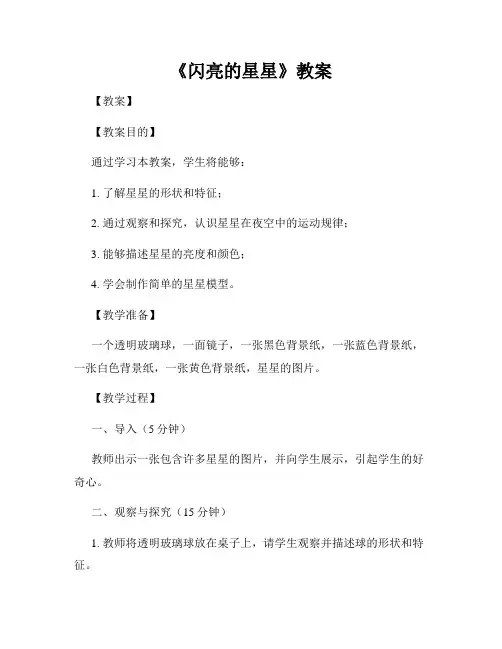 《闪亮的星星》教案