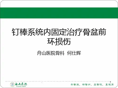 骨盆内支架治疗骨盆前环损伤PPT课件