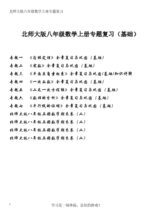 北师大版八年级上册专题复习(基础)