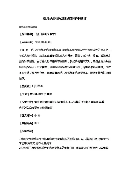 胎儿头颈部动脉铸型标本制作