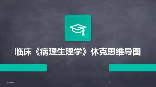 2024年度临床《病理生理学》休克思维导图