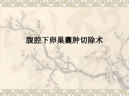 腹腔下卵巢囊肿切除术ppt课件