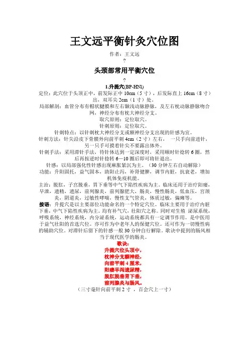王文远平衡针灸穴位图