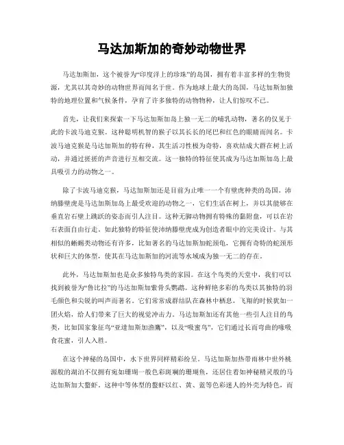 马达加斯加的奇妙动物世界