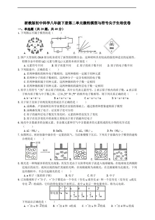 浙教版八年级下科学第二单元微粒模型与符号尖子生培优卷及答案
