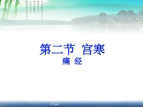 中医痛经讲解ppt课件