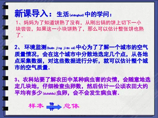 随机抽样(PPT)