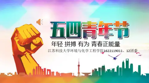 团课 五四青节(实用资料)ppt