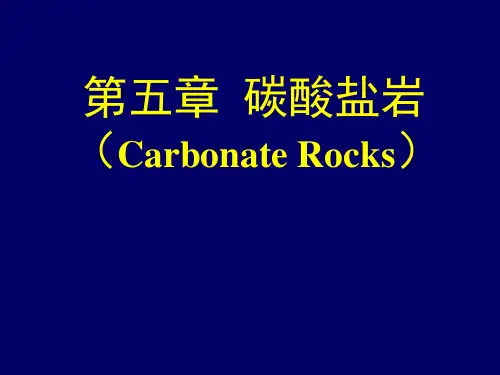 第五章碳酸盐岩