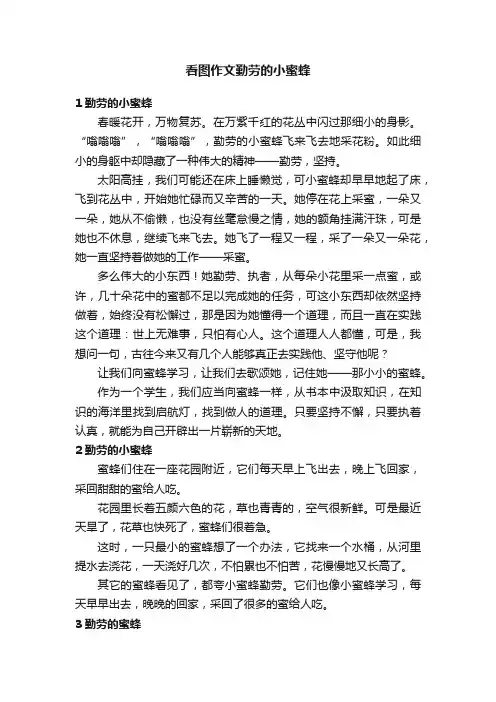看图作文勤劳的小蜜蜂