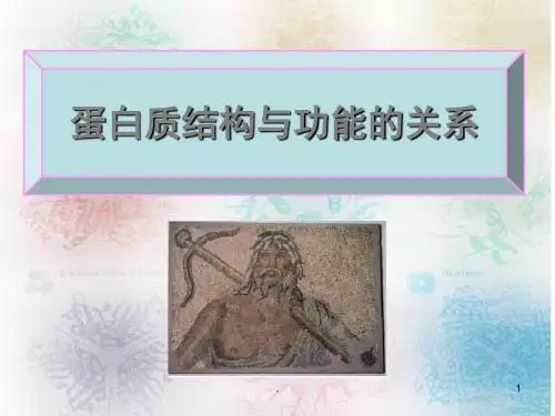 蛋白质结构与功能的关系PPT医学课件
