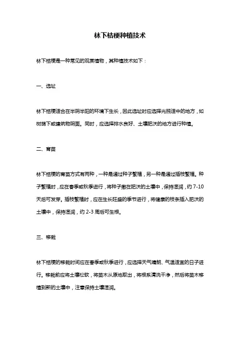 林下桔梗种植技术