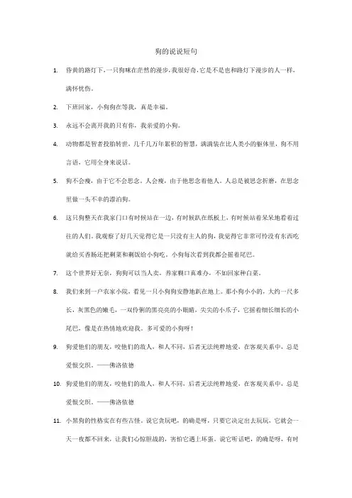 狗的说说短句