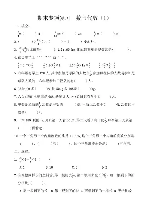 期末专项复习——数与代数(试题)六年级上册数学人教版