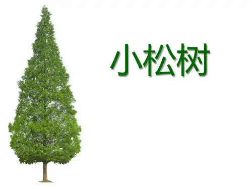 《小松树》PPT课件二