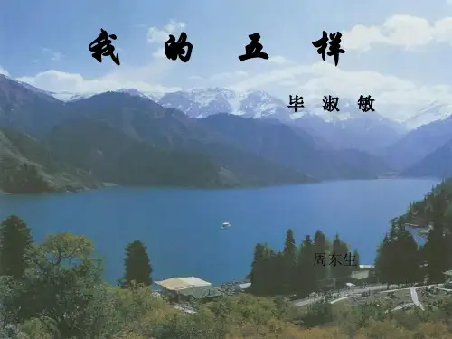 七年级语文我的五样1(新编201912)