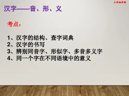 部编版语文小升初冲刺课件 第3课 汉字基础2  29张幻灯片