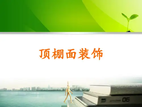 顶棚面装饰教学PPT
