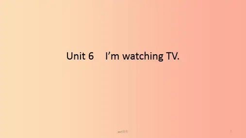 2019春七年级英语下册Unit6I’mwatchingTV语法专练课件新版人教新目标版