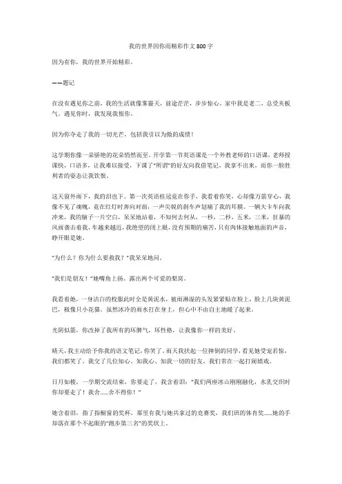 我的世界因你而精彩作文800字