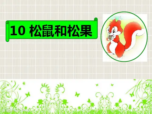 10松鼠和松果ppt