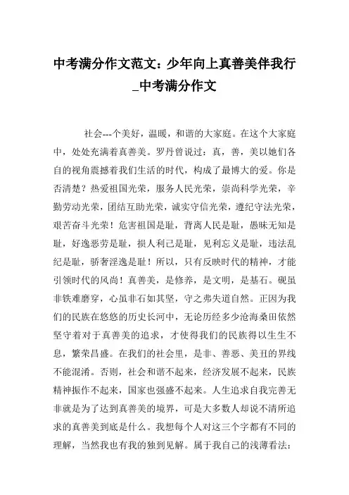 中考满分作文范文：少年向上真善美伴我行_中考满分作文