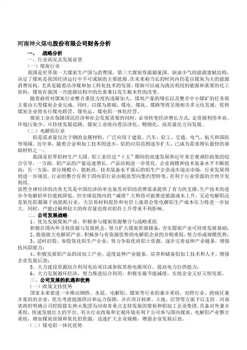 神火股份有限公司财务分析