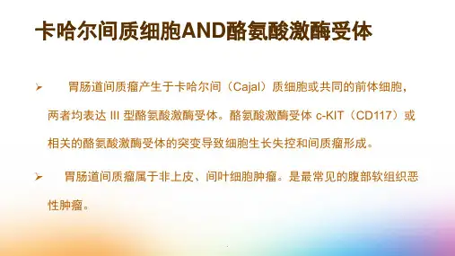 医学文档胃肠道间质瘤PPT演示课件