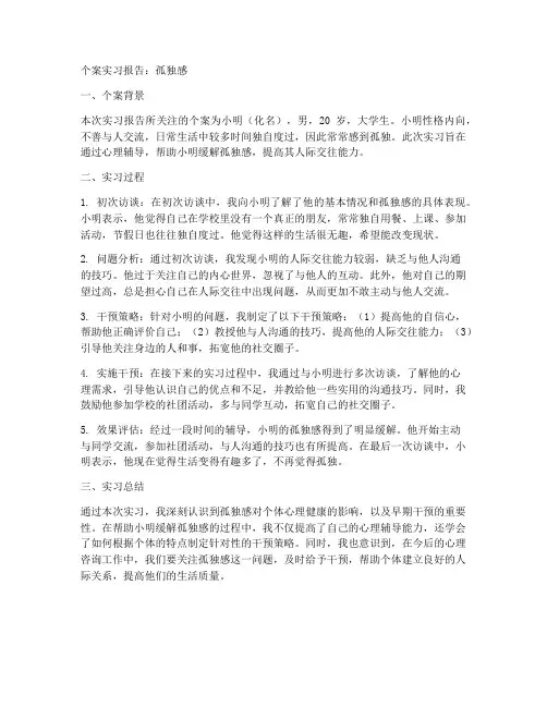 个案实习报告孤独感