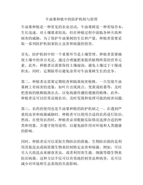 牛油果种植中的防护机制与原理