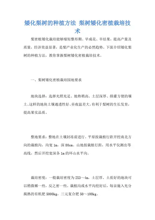 矮化梨树的种植方法 梨树矮化密植栽培技术